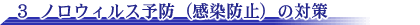ノロウィルス予防(感染防止)の対策